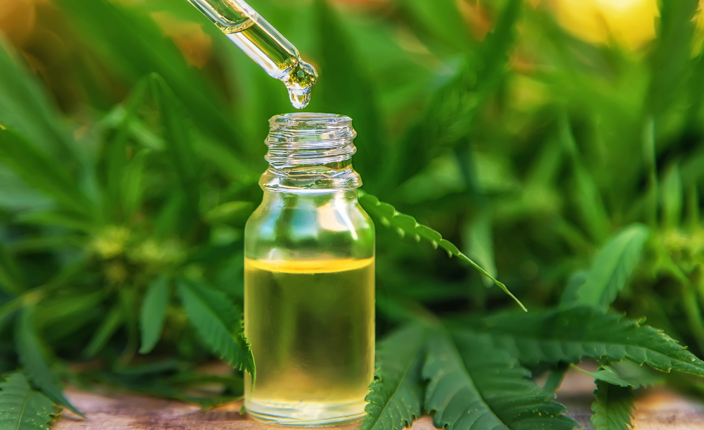 Huile de CBD : guide complet sur ses bienfaits, utilisations, dosages et conseils d’achat