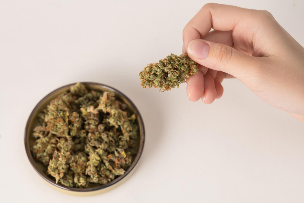 Huile CBD Hollyweed : L’élixir naturel au cœur du bien-être