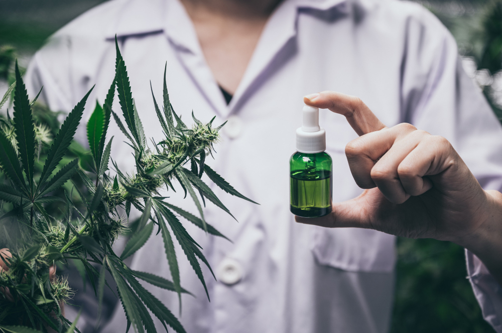 Les Bienfaits du CBD : Tout Comprendre avec Papatilleul.fr, le Guide du Bien-Être Naturel