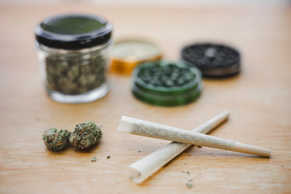 Tout savoir sur les fleurs de CBD : bienfaits, utilisation, législation et conseils d’achat